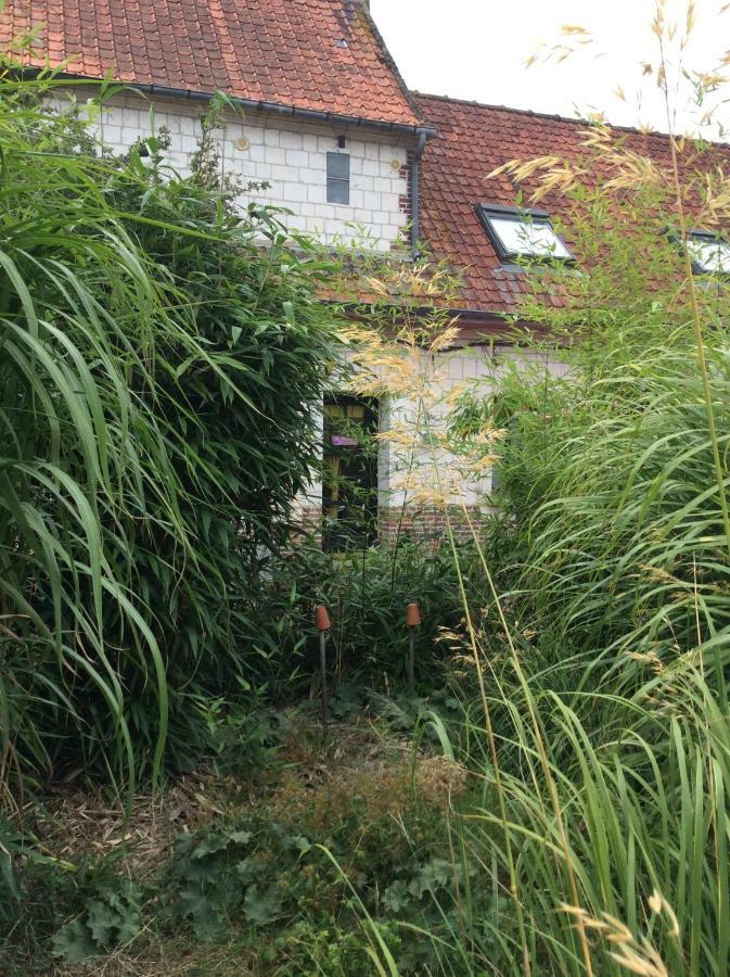 Le Clos du Carpe Diem Cambligneul Extérieur photo